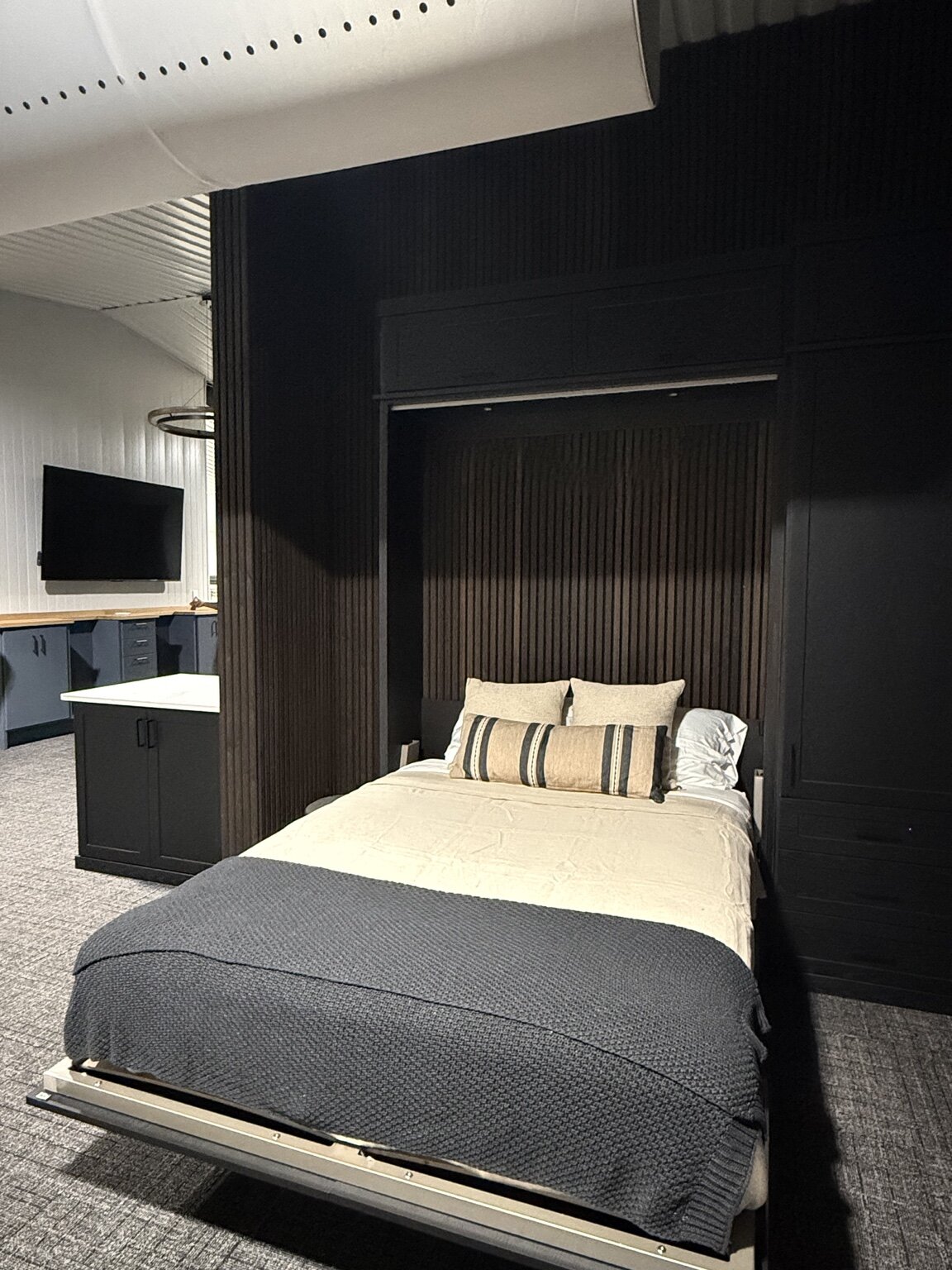 Simulator Lounge with Two Queen Murphy Beds